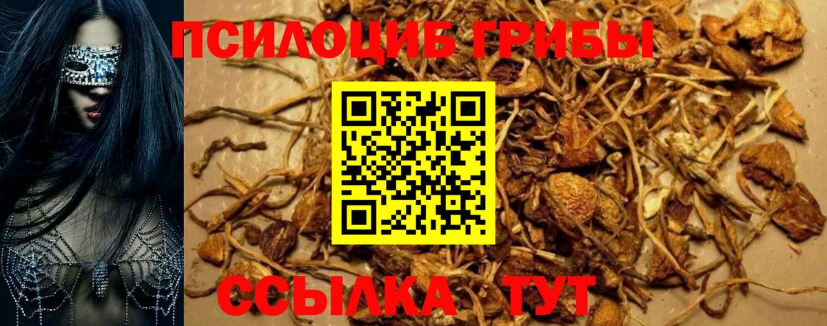 Лесной  Галлюциногенные грибы мицелий  Вход с VPN 